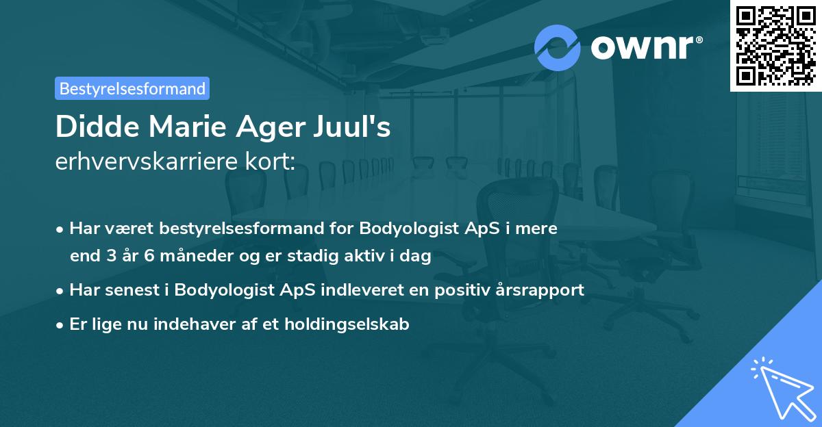 Didde Marie Ager Juul's erhvervskarriere kort