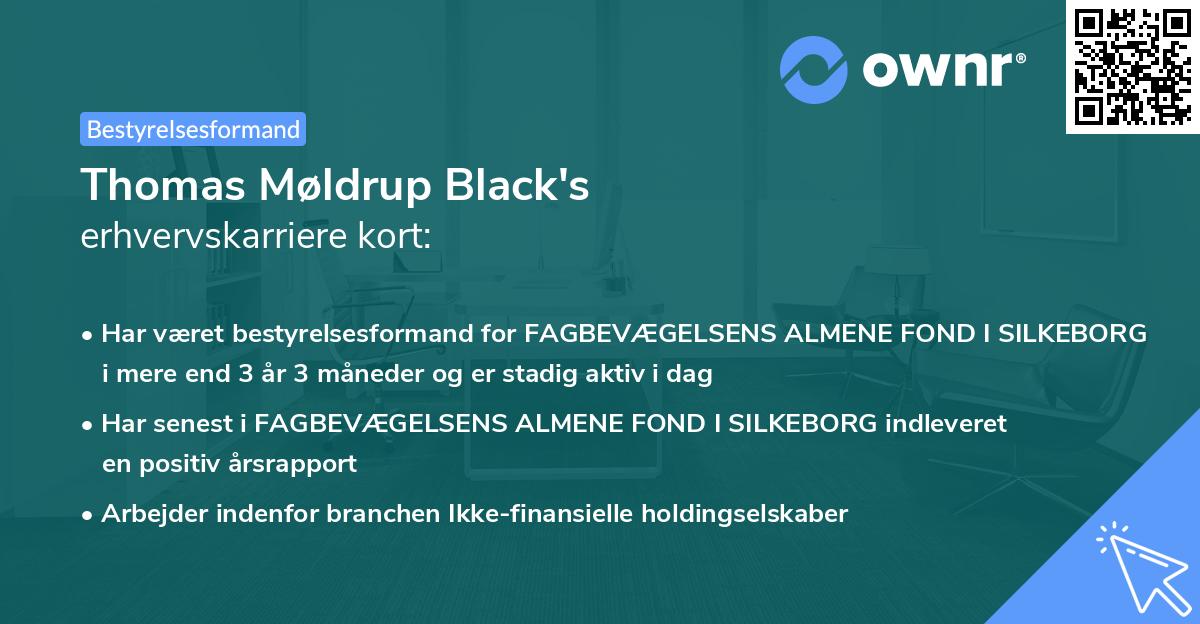 Thomas Møldrup Black's erhvervskarriere kort