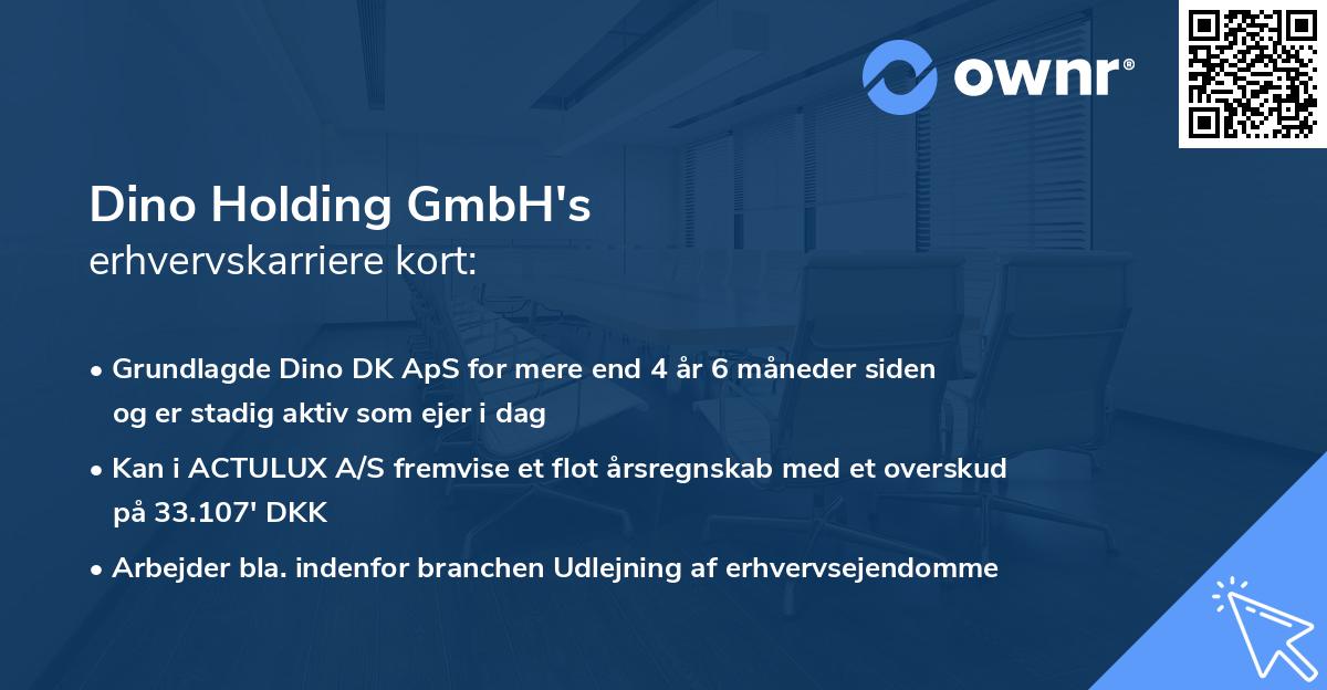 Dino Holding GmbH's erhvervskarriere kort