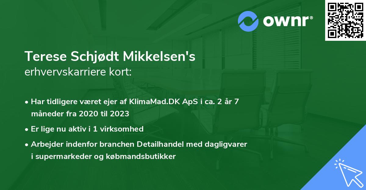 Terese Schjødt Mikkelsen's erhvervskarriere kort