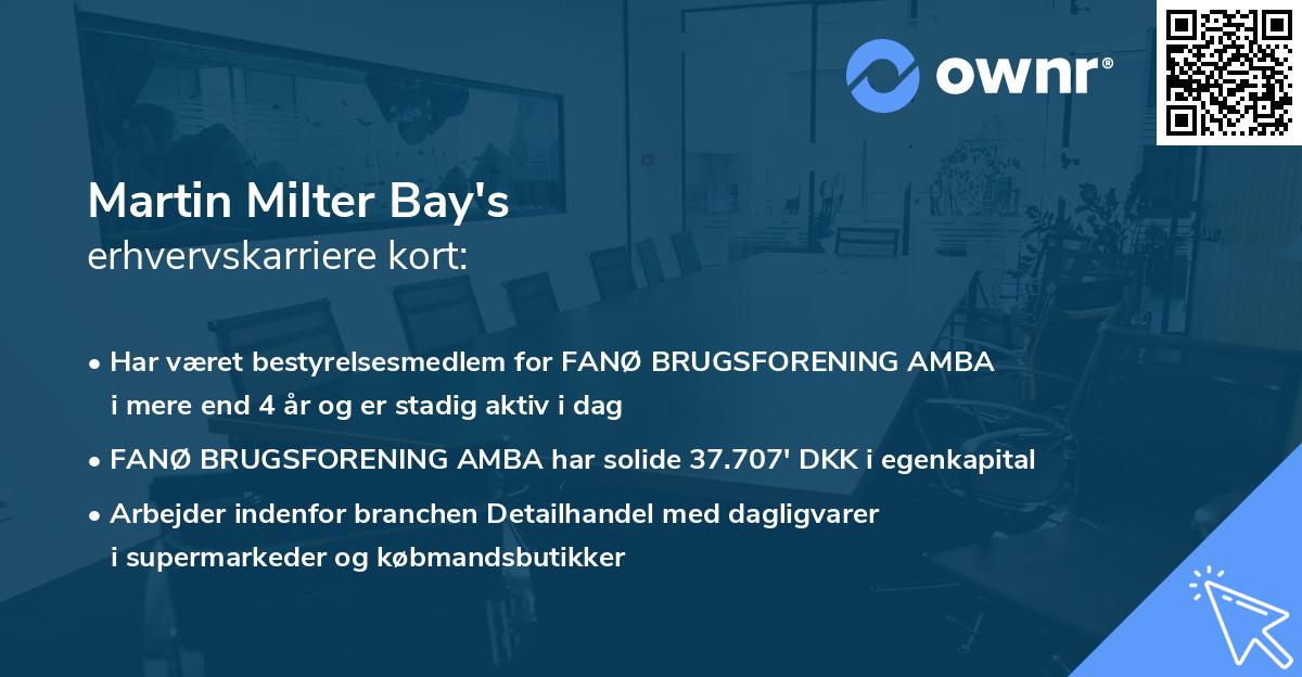 Martin Milter Bay's erhvervskarriere kort