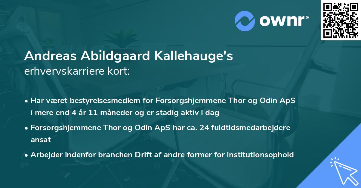 Andreas Abildgaard Kallehauge's erhvervskarriere kort