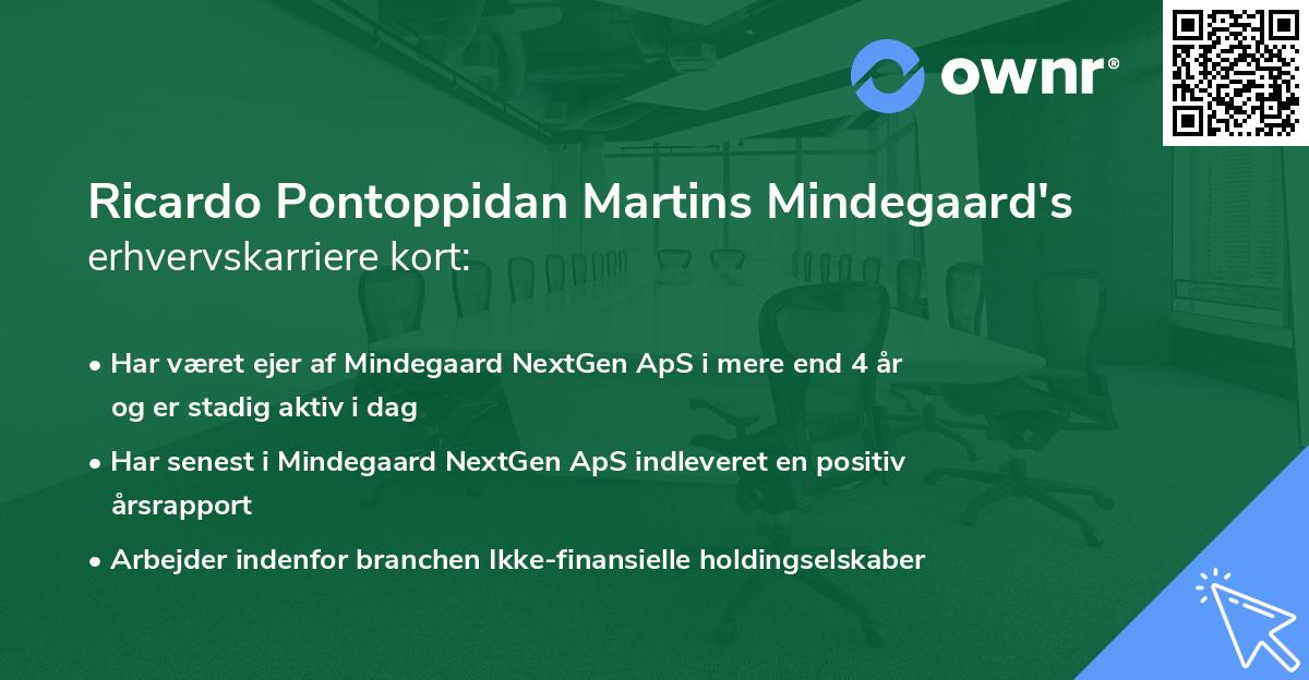 Ricardo Pontoppidan Martins Mindegaard's erhvervskarriere kort