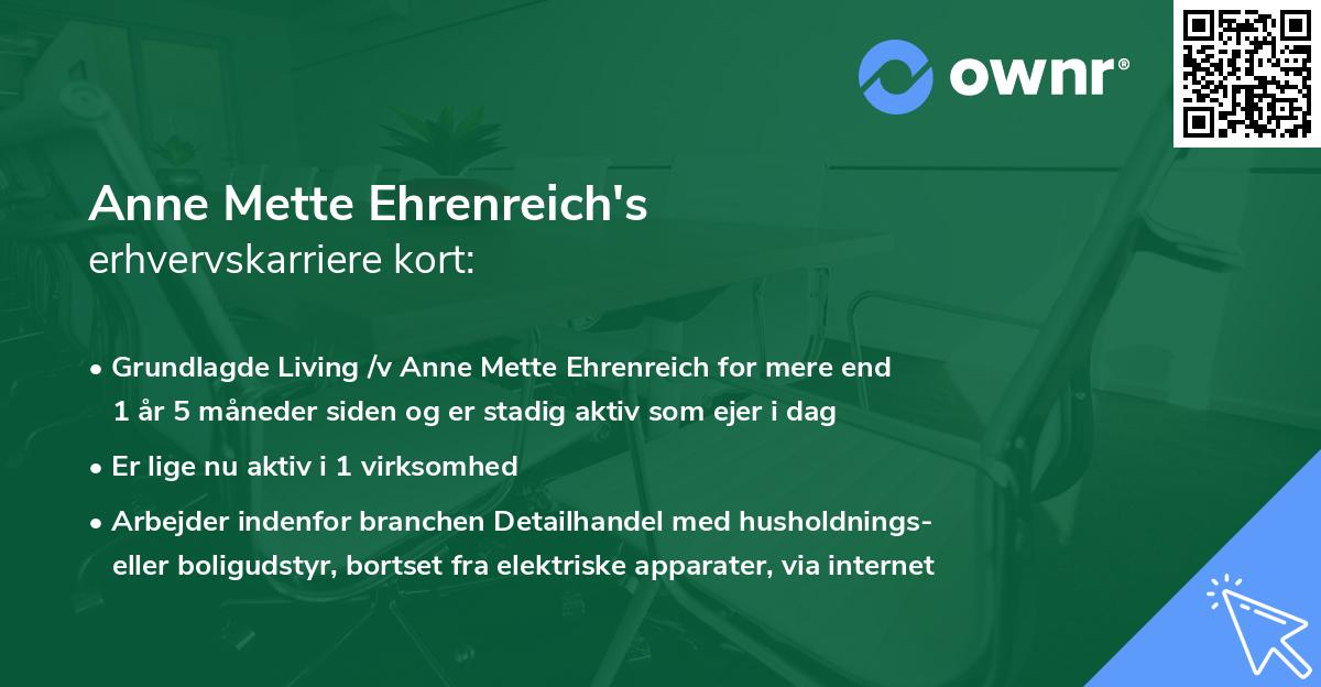 Anne Mette Ehrenreich's erhvervskarriere kort