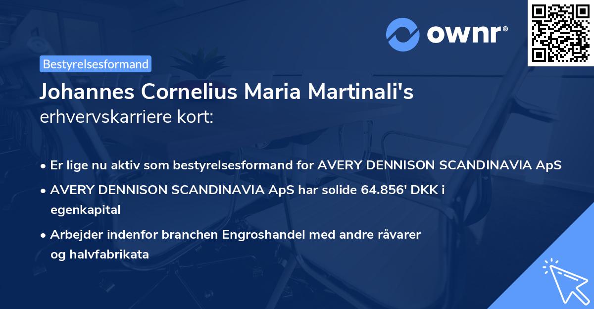 Johannes Cornelius Maria Martinali's erhvervskarriere kort