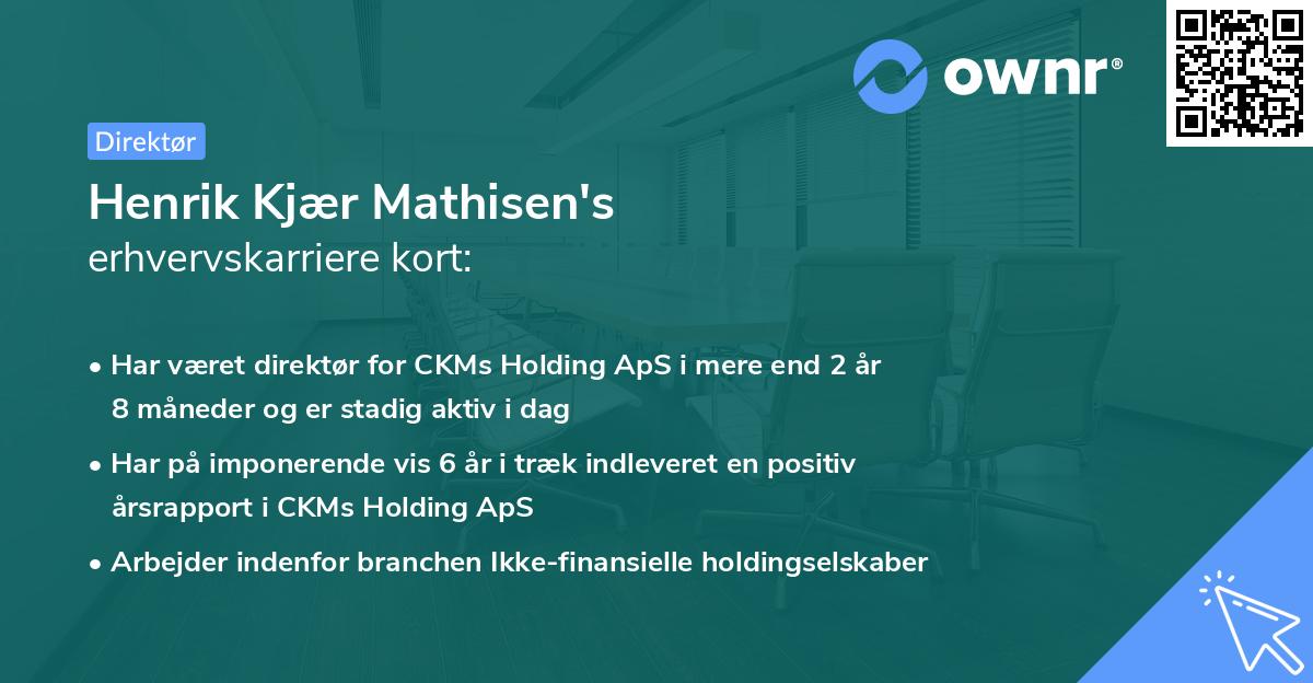 Henrik Kjær Mathisen's erhvervskarriere kort