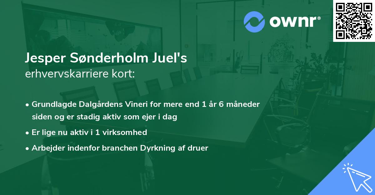 Jesper Sønderholm Juel's erhvervskarriere kort