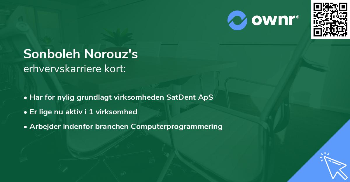 Sonboleh Norouz's erhvervskarriere kort