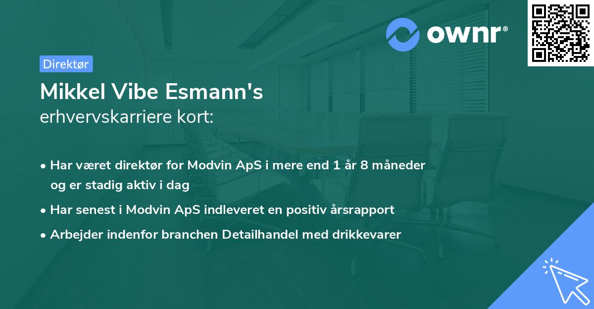 Mikkel Vibe Esmann's erhvervskarriere kort