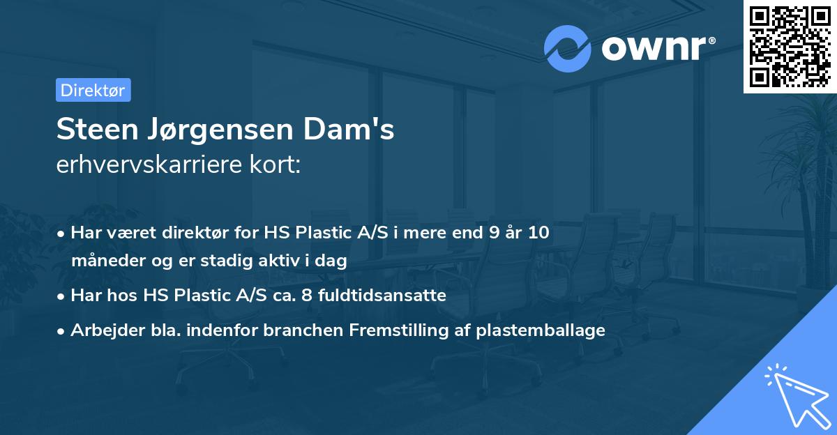 Steen Jørgensen Dam's erhvervskarriere kort