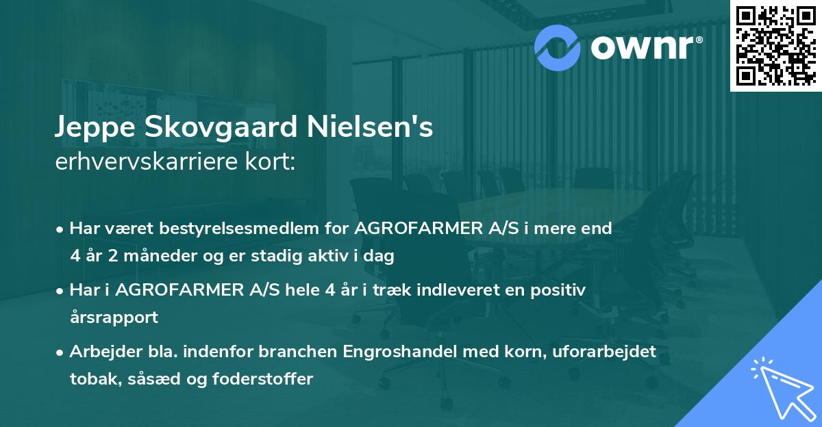 Jeppe Skovgaard Nielsen's erhvervskarriere kort