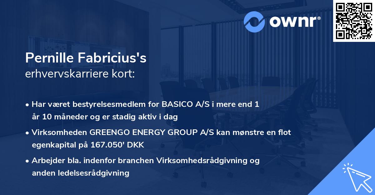 Pernille Fabricius's erhvervskarriere kort