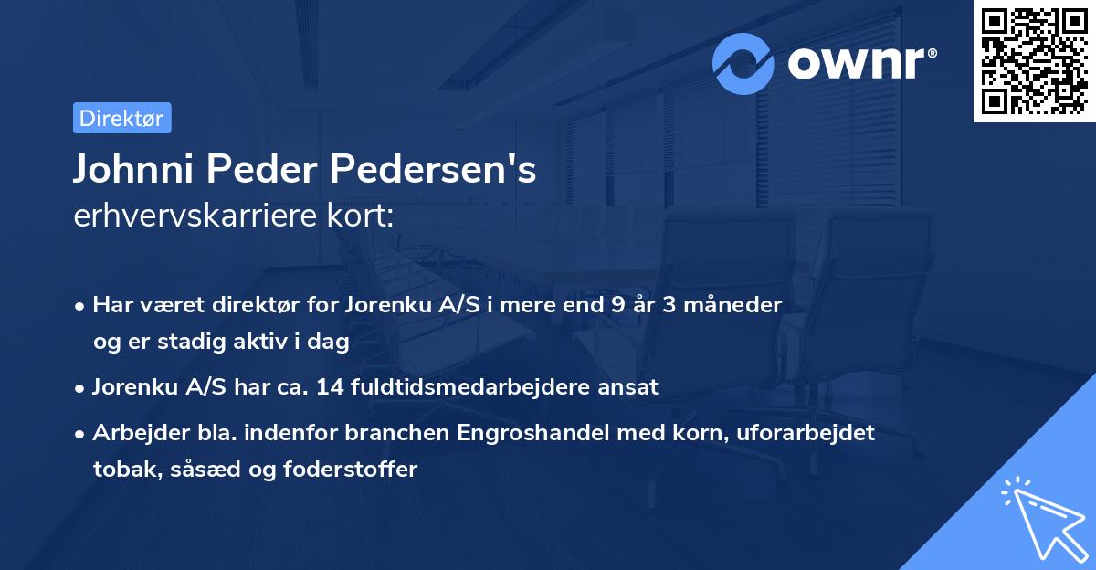 Johnni Peder Pedersen's erhvervskarriere kort