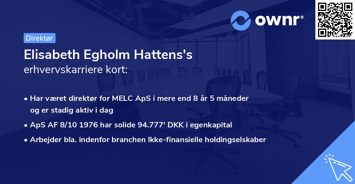 Elisabeth Egholm Hattens's erhvervskarriere kort
