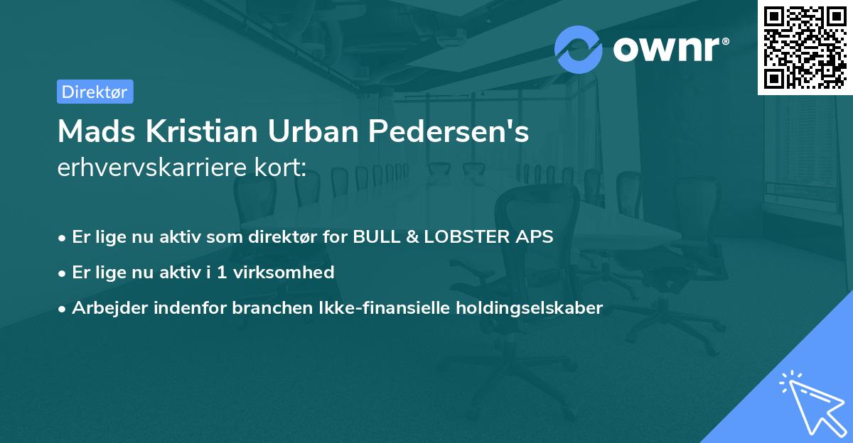 Mads Kristian Urban Pedersen's erhvervskarriere kort