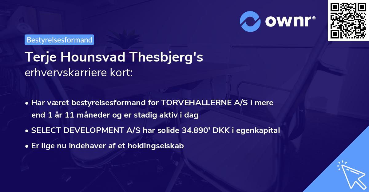 Terje Hounsvad Thesbjerg's erhvervskarriere kort