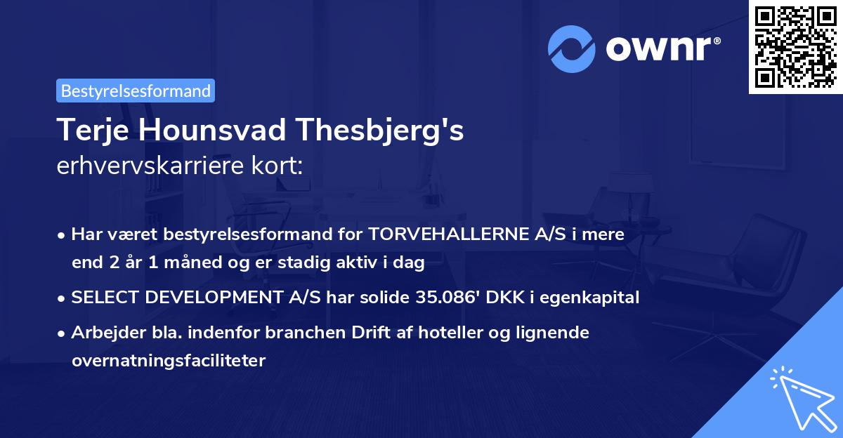 Terje Hounsvad Thesbjerg's erhvervskarriere kort