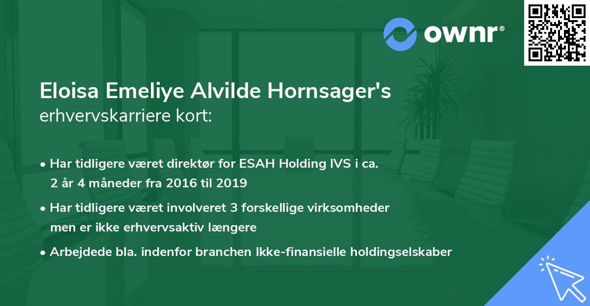 Eloisa Emeliye Alvilde Hornsager's erhvervskarriere kort