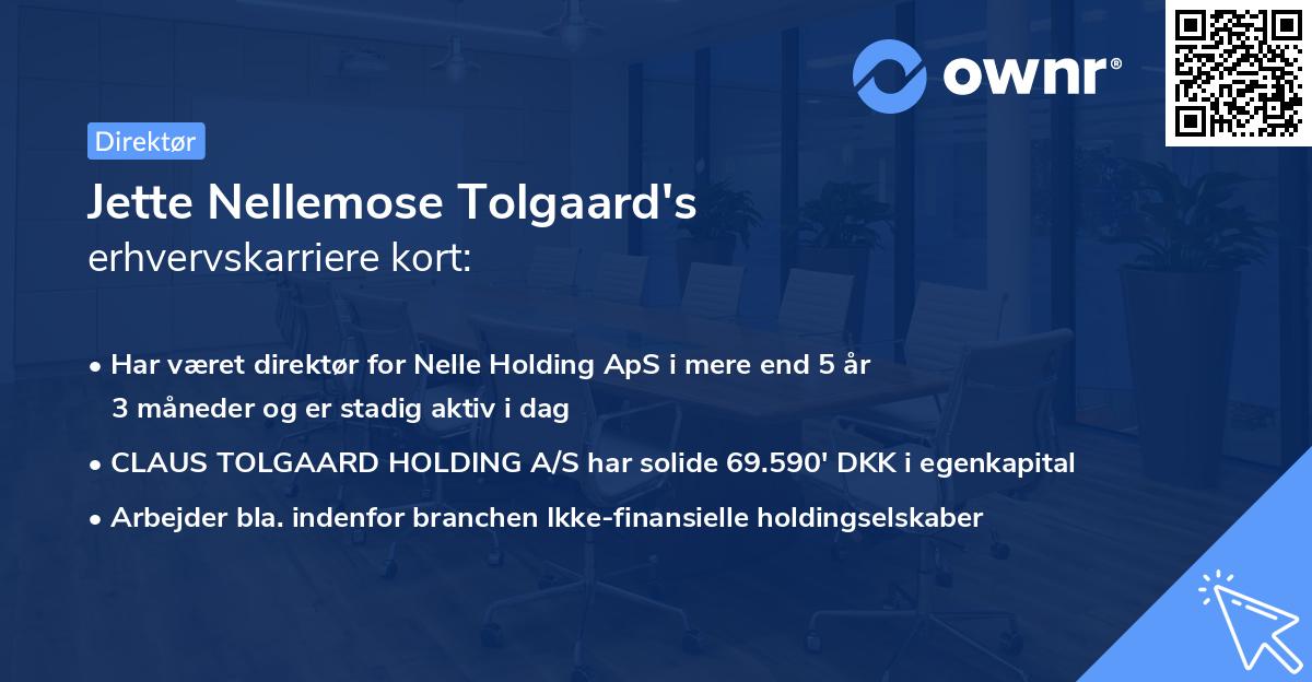 Jette Nellemose Tolgaard's erhvervskarriere kort