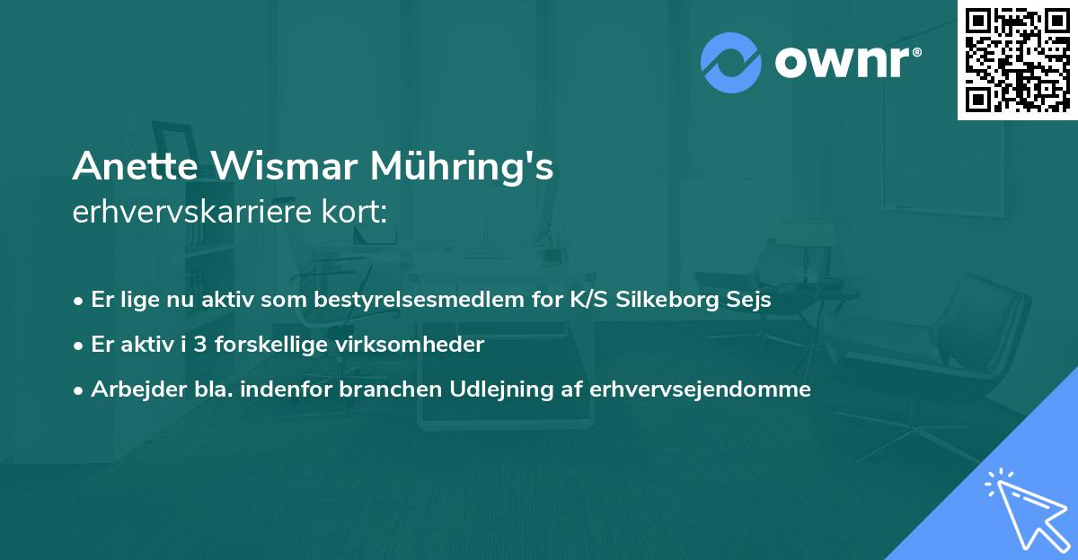 Anette Wismar Mühring's erhvervskarriere kort