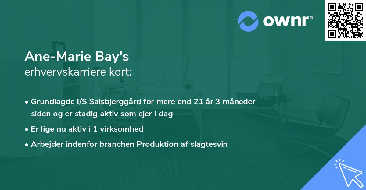 Ane-Marie Bay's erhvervskarriere kort