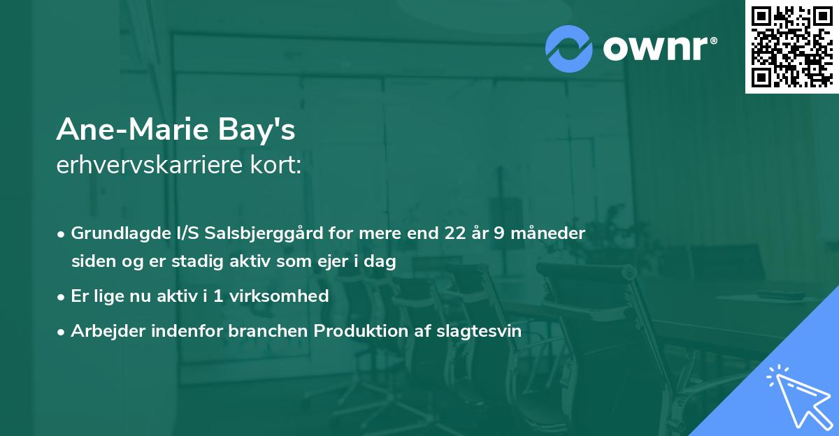 Ane-Marie Bay's erhvervskarriere kort