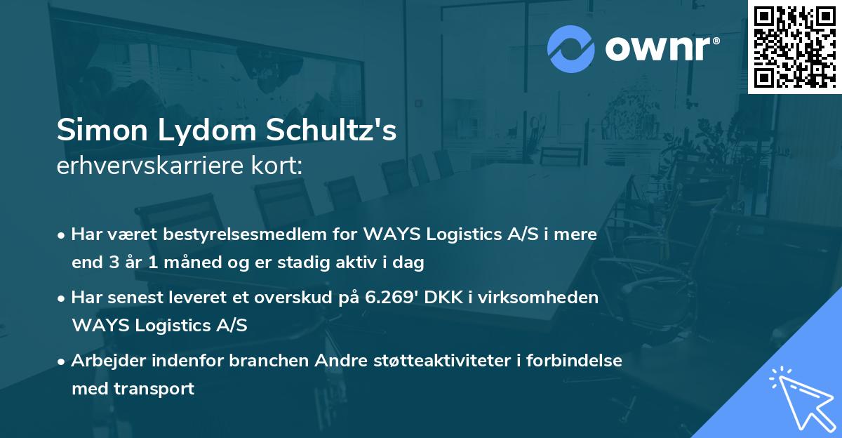 Simon Lydom Schultz's erhvervskarriere kort