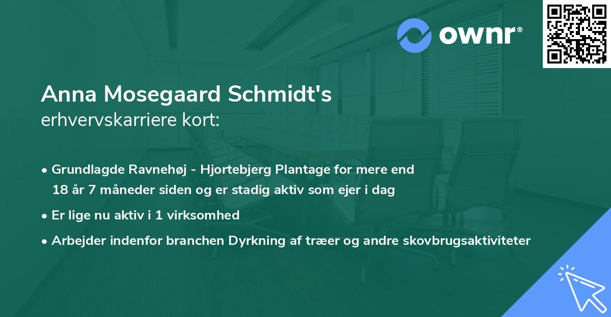 Anna Mosegaard Schmidt's erhvervskarriere kort