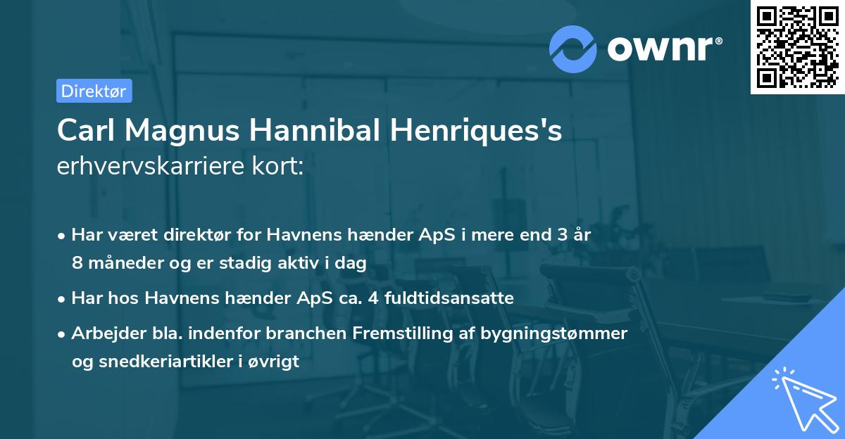 Carl Magnus Hannibal Henriques's erhvervskarriere kort