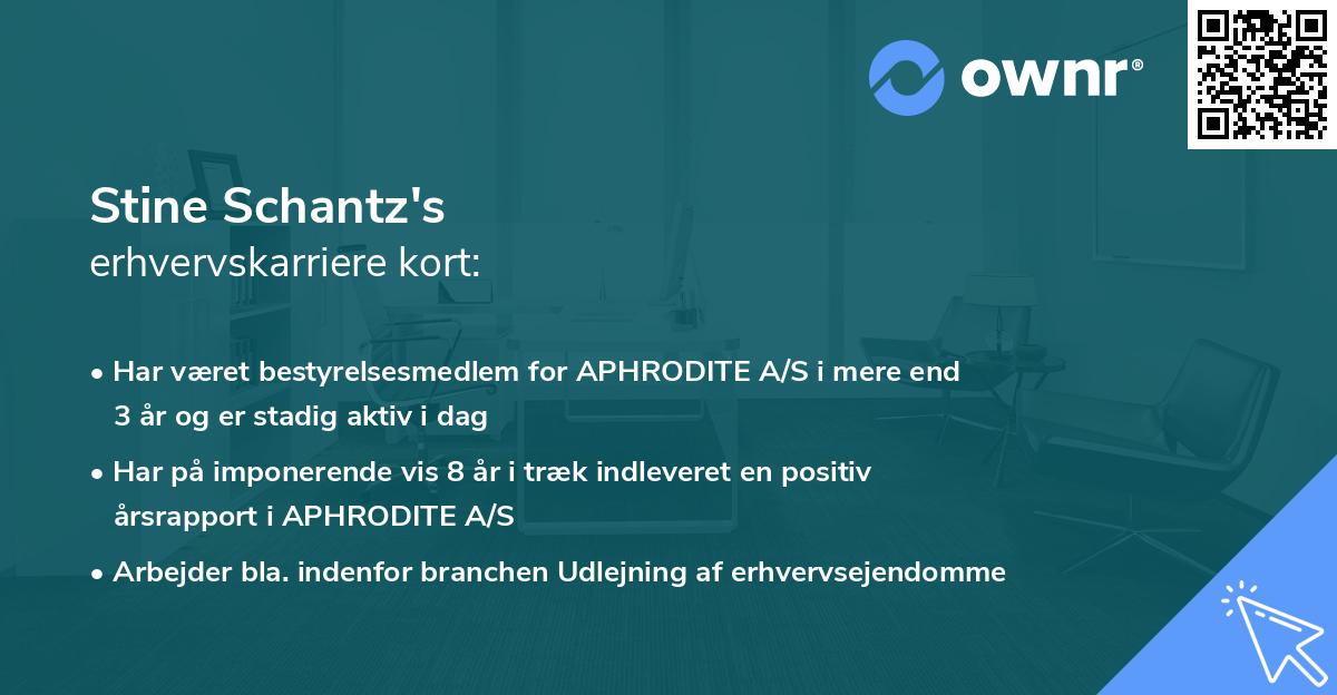 Stine Schantz's erhvervskarriere kort