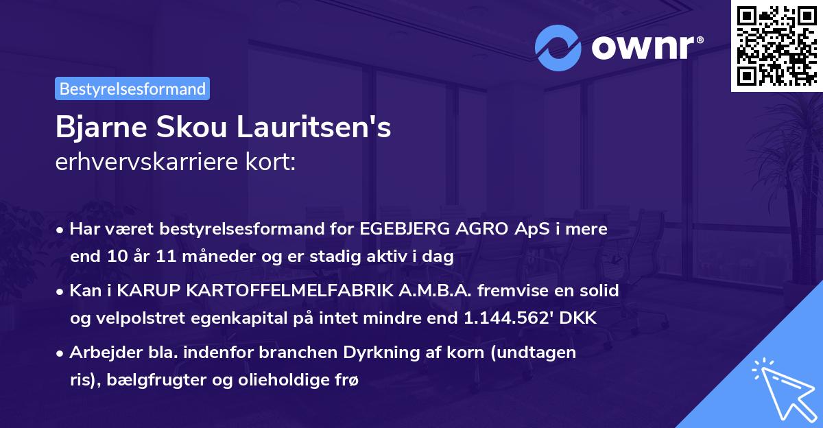 Bjarne Skou Lauritsen's erhvervskarriere kort