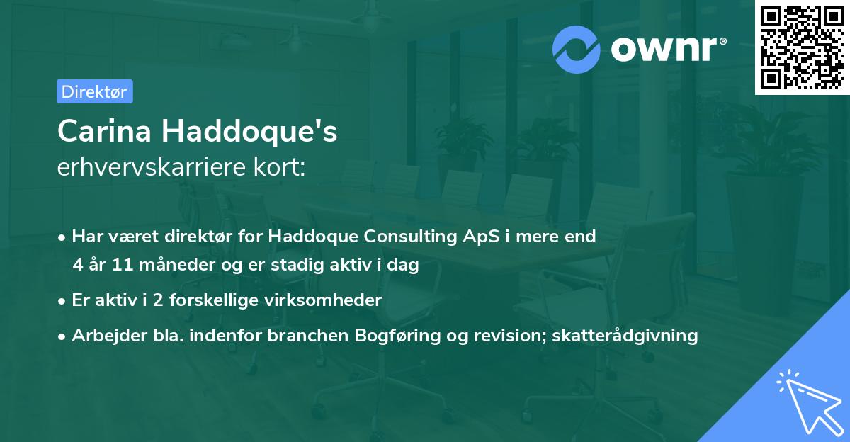 Carina Haddoque's erhvervskarriere kort