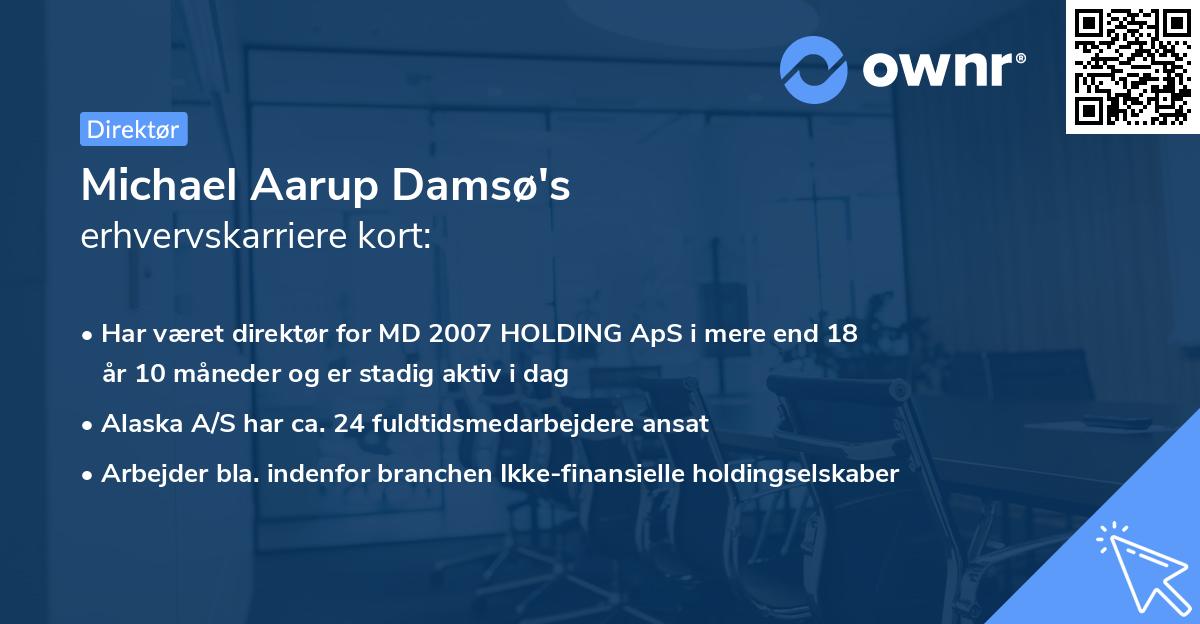 Michael Aarup Damsø's erhvervskarriere kort