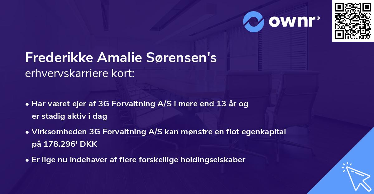 Frederikke Amalie Sørensen's erhvervskarriere kort