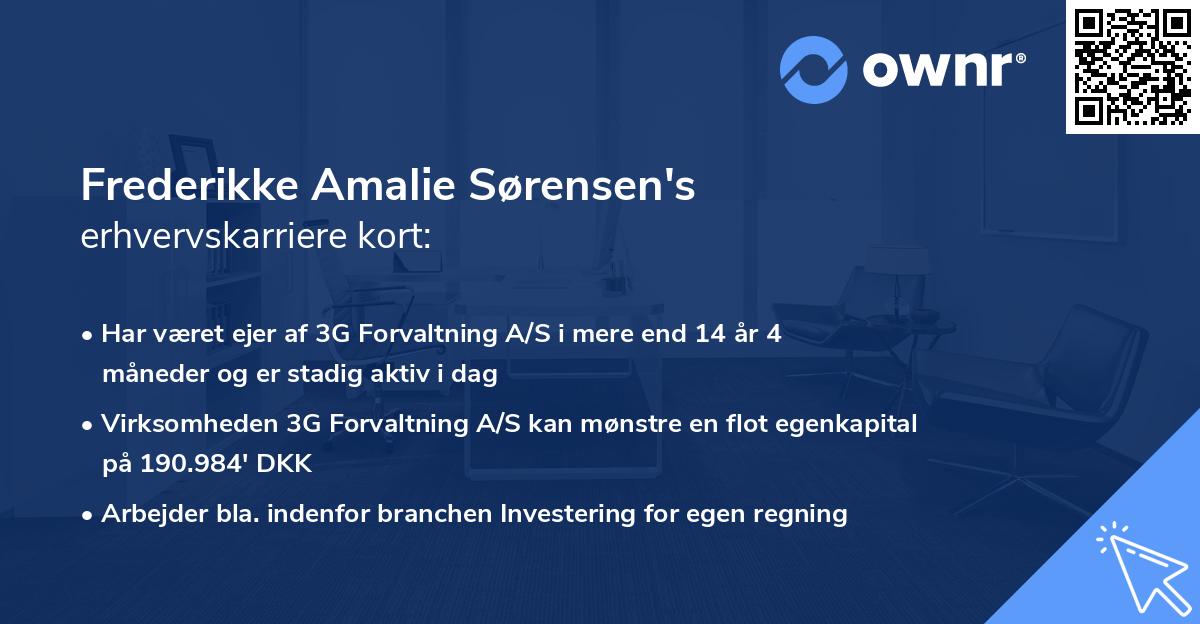 Frederikke Amalie Sørensen's erhvervskarriere kort