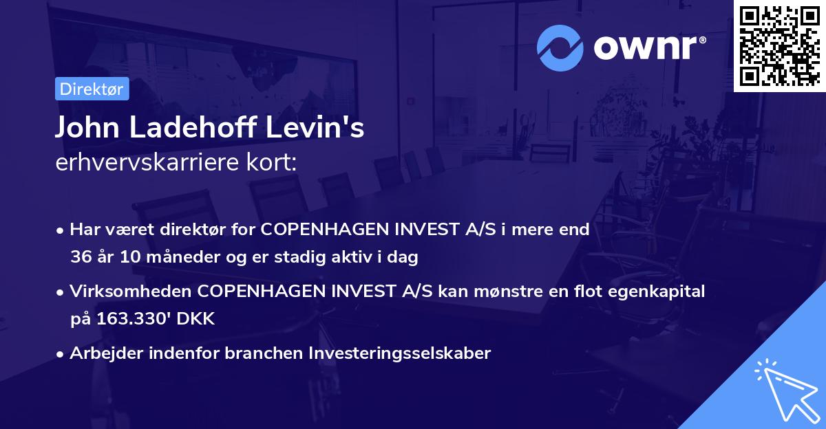 John Ladehoff Levin's erhvervskarriere kort