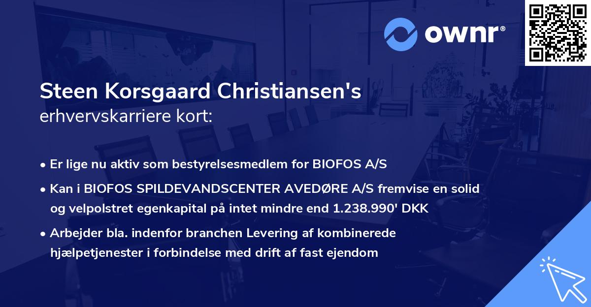 Steen Korsgaard Christiansen's erhvervskarriere kort