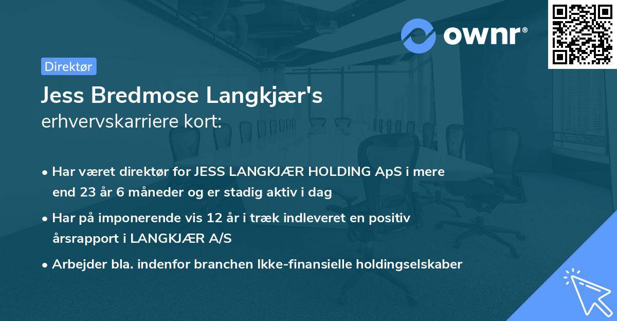 Jess Bredmose Langkjær's erhvervskarriere kort
