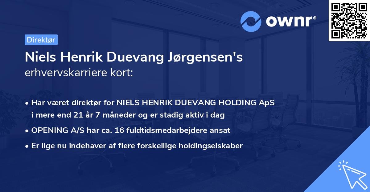 Niels Henrik Duevang Jørgensen's erhvervskarriere kort