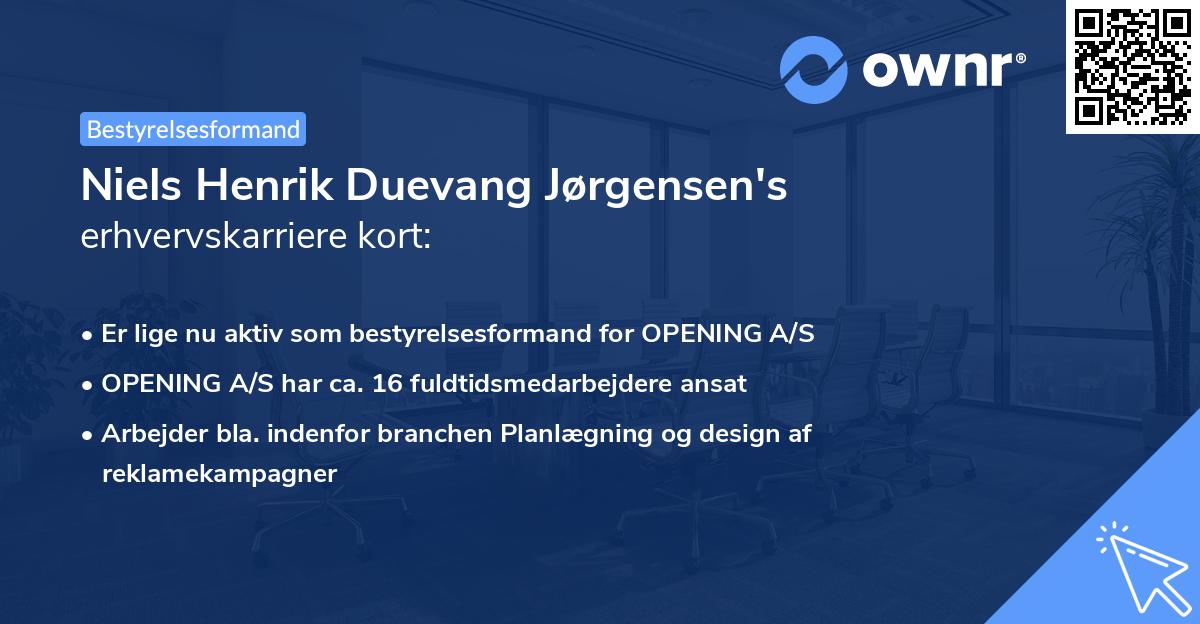 Niels Henrik Duevang Jørgensen's erhvervskarriere kort