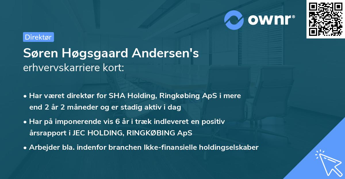 Søren Høgsgaard Andersen's erhvervskarriere kort
