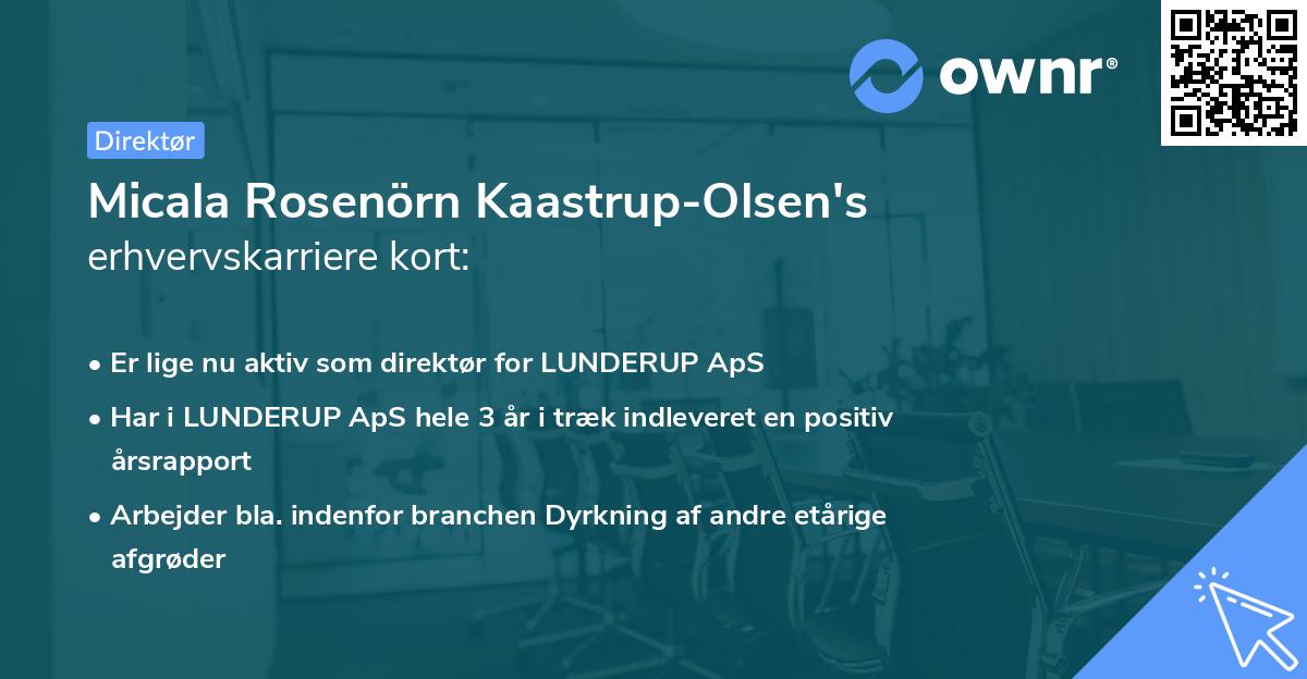 Micala Rosenörn Kaastrup-Olsen's erhvervskarriere kort