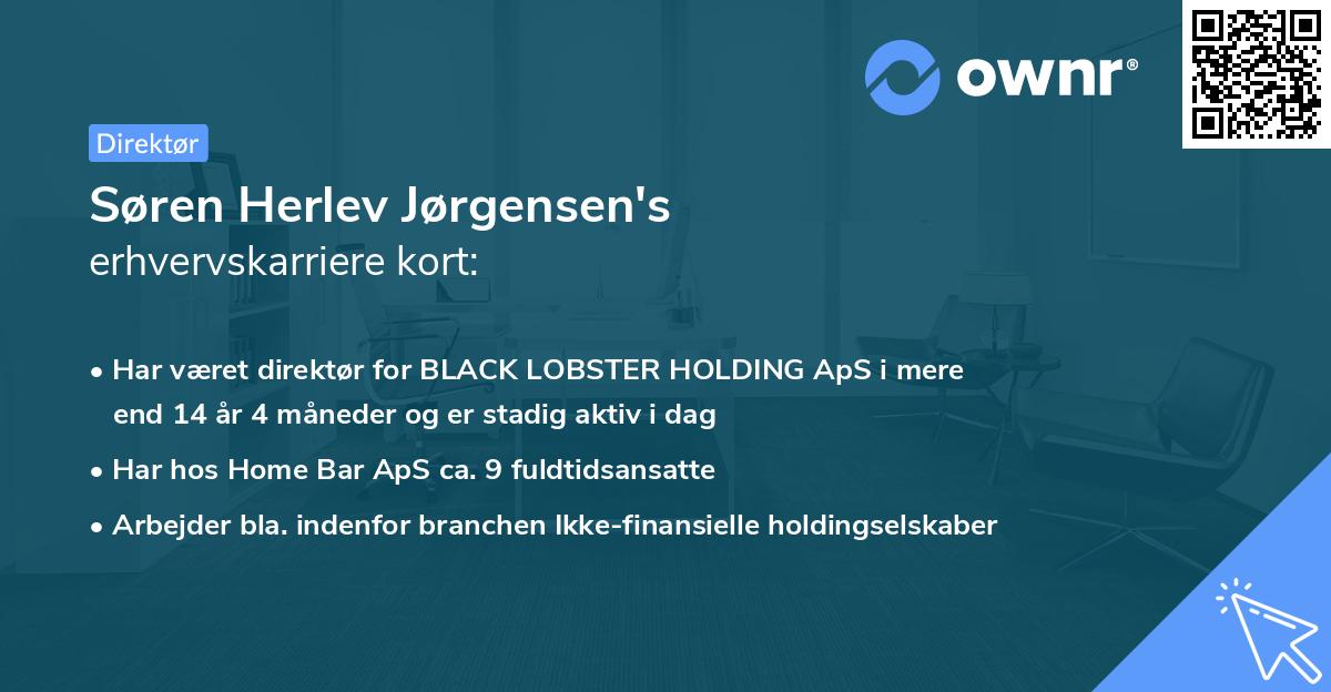 Søren Herlev Jørgensen's erhvervskarriere kort