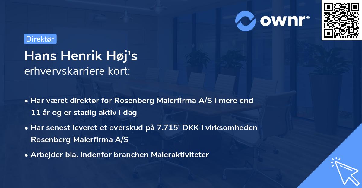 Hans Henrik Høj's erhvervskarriere kort