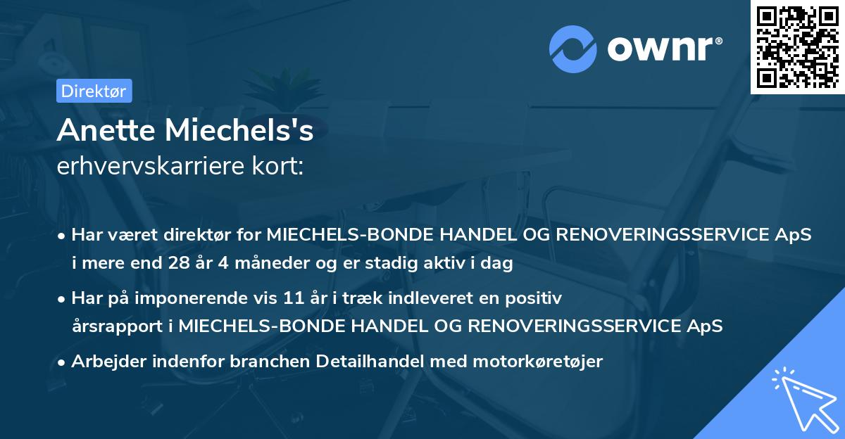 Anette Miechels's erhvervskarriere kort