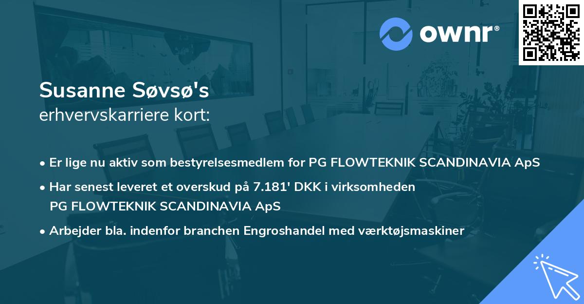 Susanne Søvsø's erhvervskarriere kort