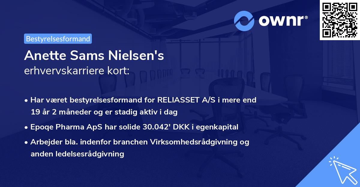 Anette Sams Nielsen's erhvervskarriere kort
