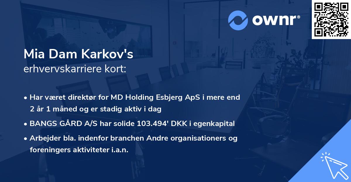 Mia Dam Karkov's erhvervskarriere kort