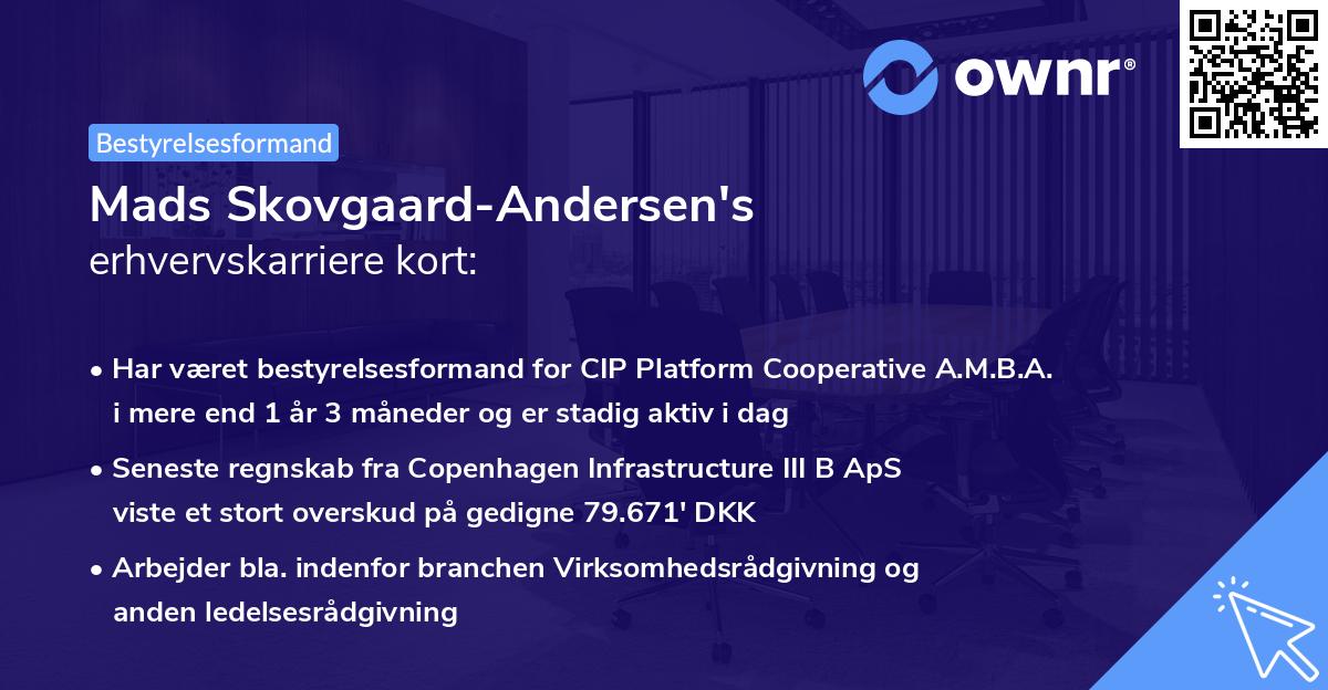 Mads Skovgaard-Andersen's erhvervskarriere kort