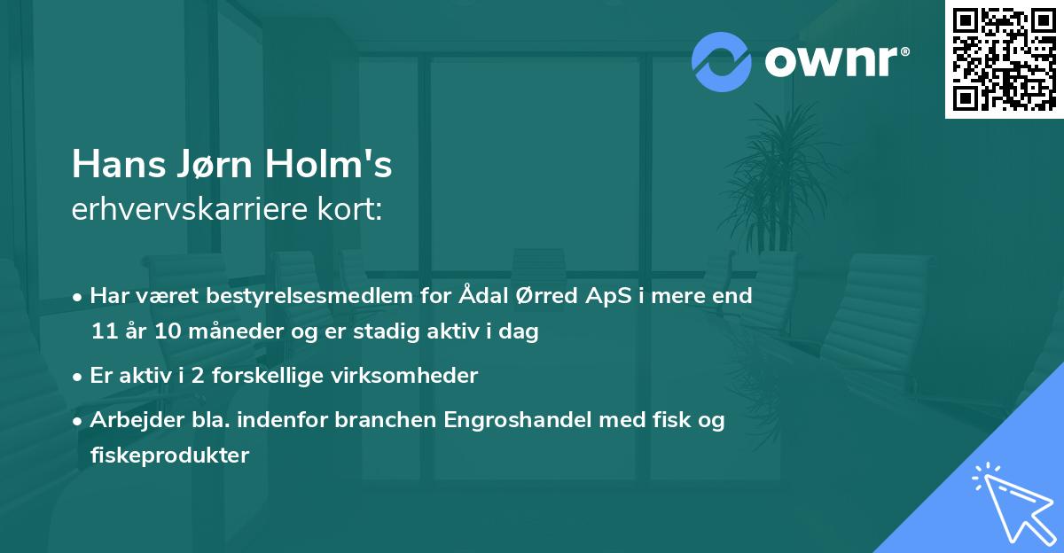 Hans Jørn Holm's erhvervskarriere kort